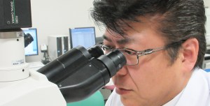 近影（清島）のコピー